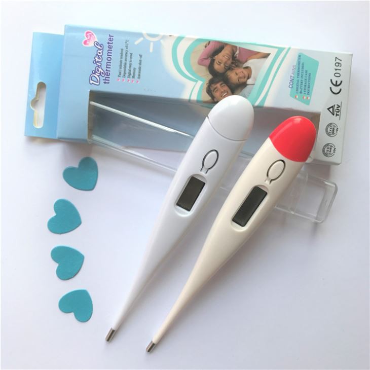 Large Size Thermometer