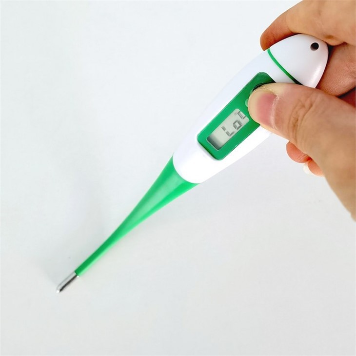 Veterinary Thermometer