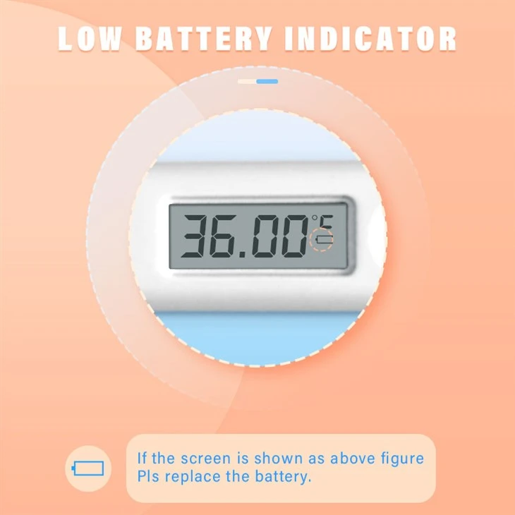 High Accuracy Thermometer
